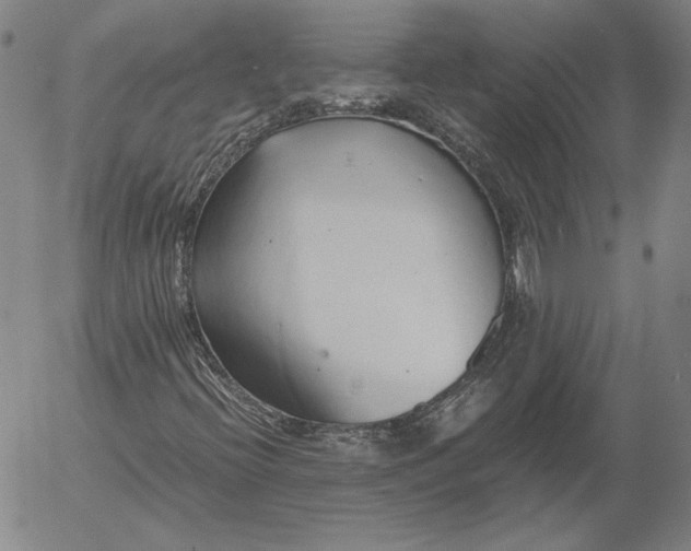 X0000056001396200509021652