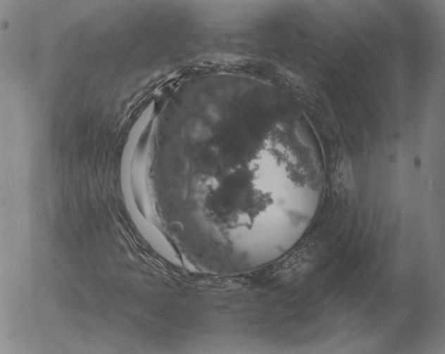 X0000056001397200509021652