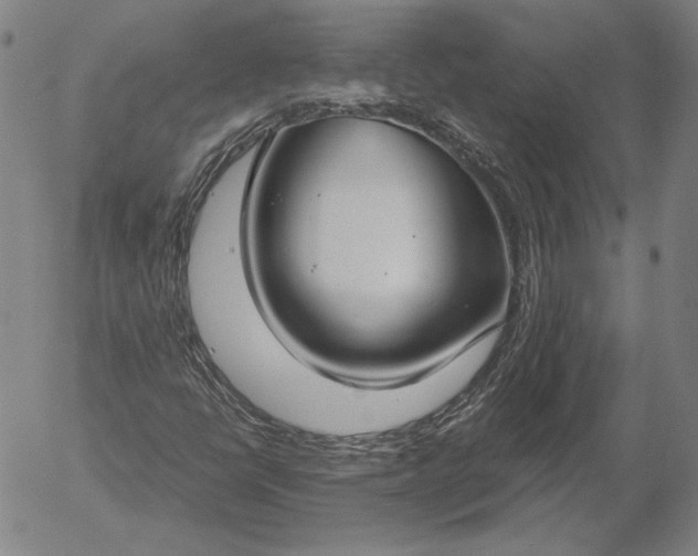 X0000056001398200509021652