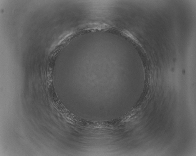 X0000056001399200509021652