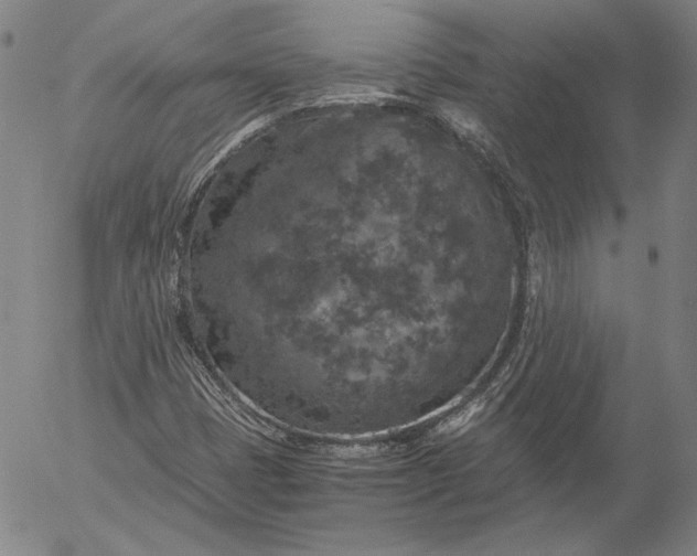 X0000056001401200509021652