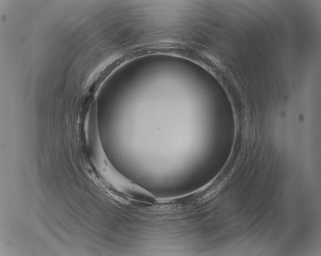 X0000056001402200509021652