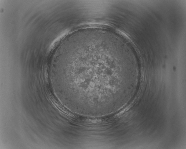 X0000056001403200509021652