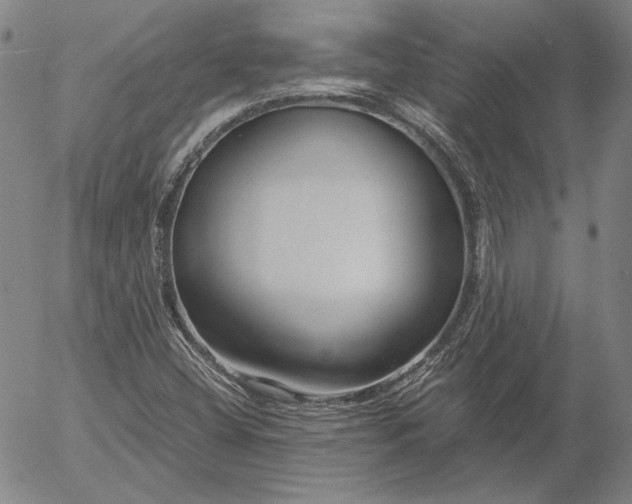 X0000056001404200509021652