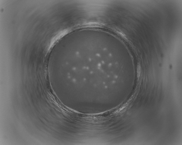 X0000056001405200509021652