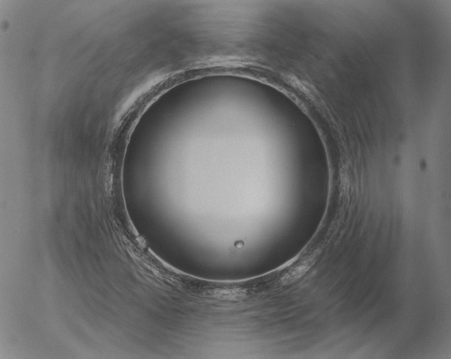 X0000056001406200509021652