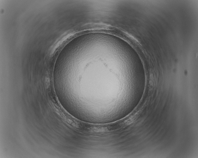 X0000056001407200509021652