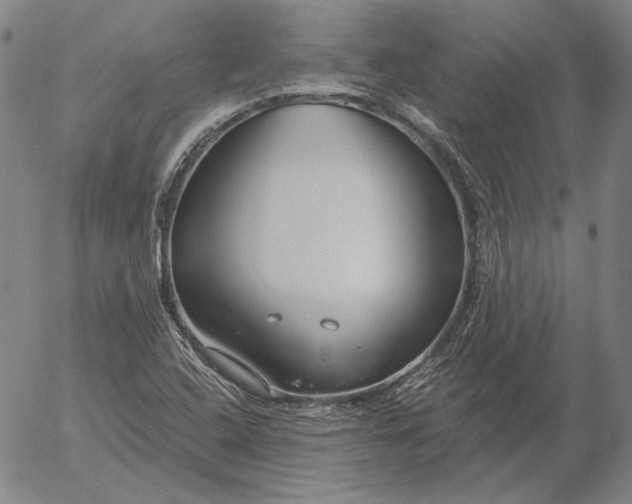 X0000056001408200509021652