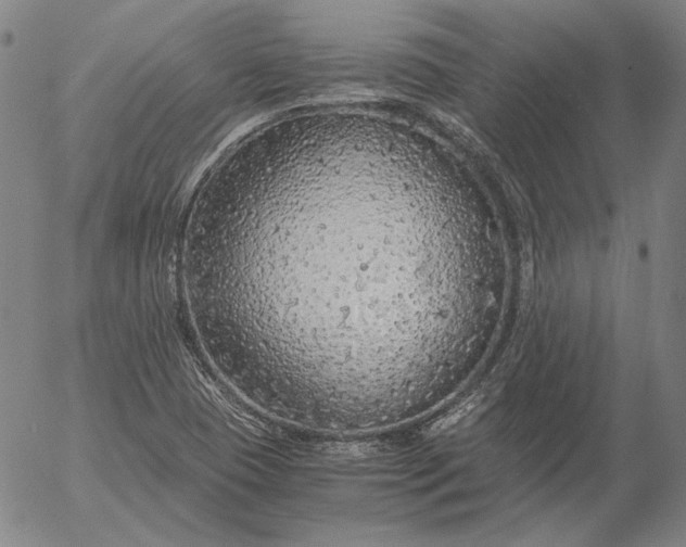 X0000056001409200509021652