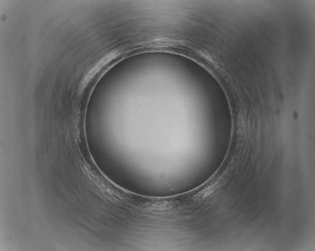 X0000056001410200509021652