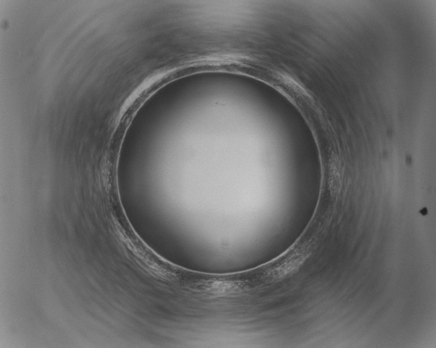 X0000056001412200509021652