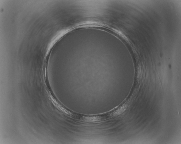 X0000056001413200509021652