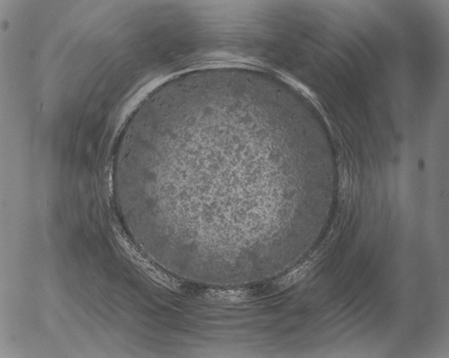 X0000056001415200509021652