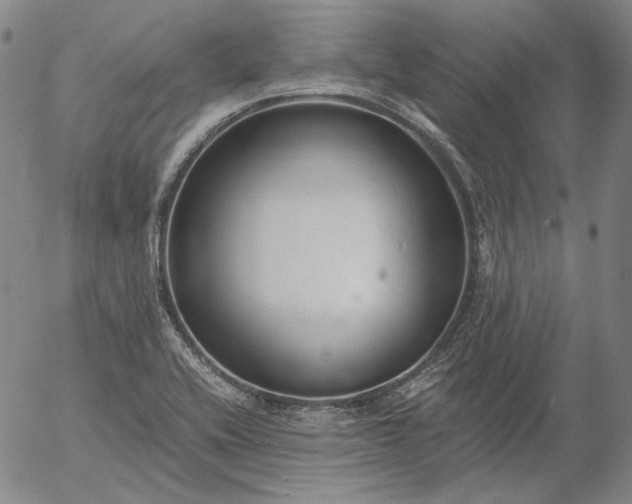 X0000056001416200509021652