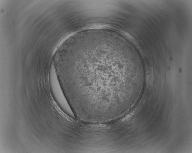 X0000056001417200509021652