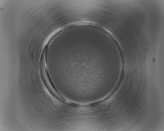 X0000056001418200509021652