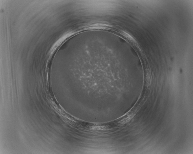 X0000056001419200509021652