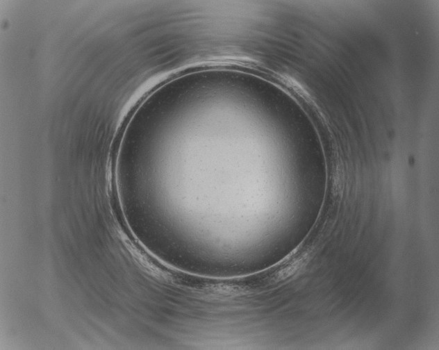 X0000056001420200509021652