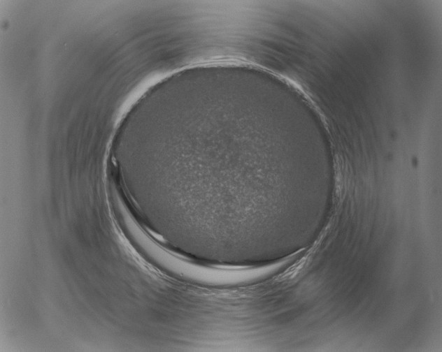 X0000056001422200509021652