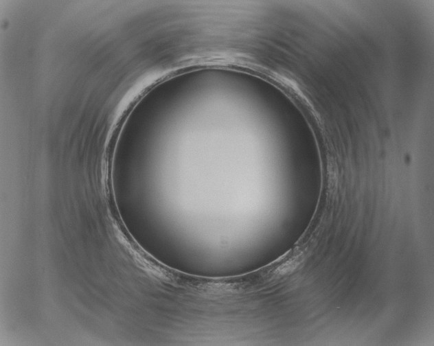 X0000056001424200509021652