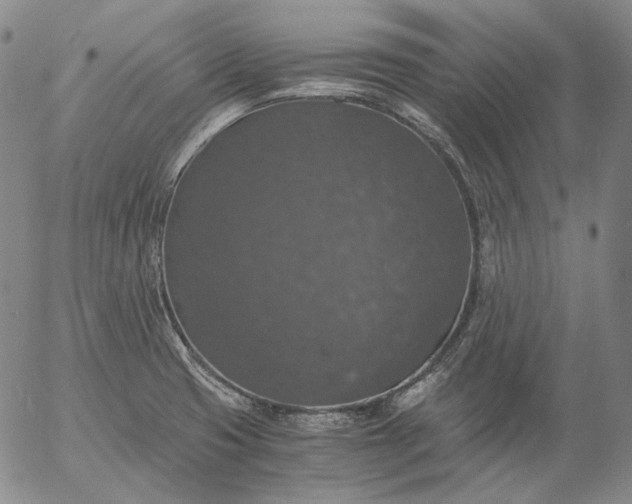 X0000056001425200509021652