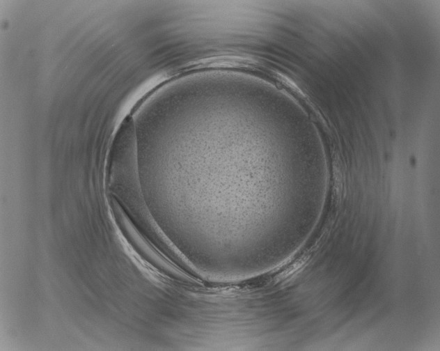 X0000056001426200509021652