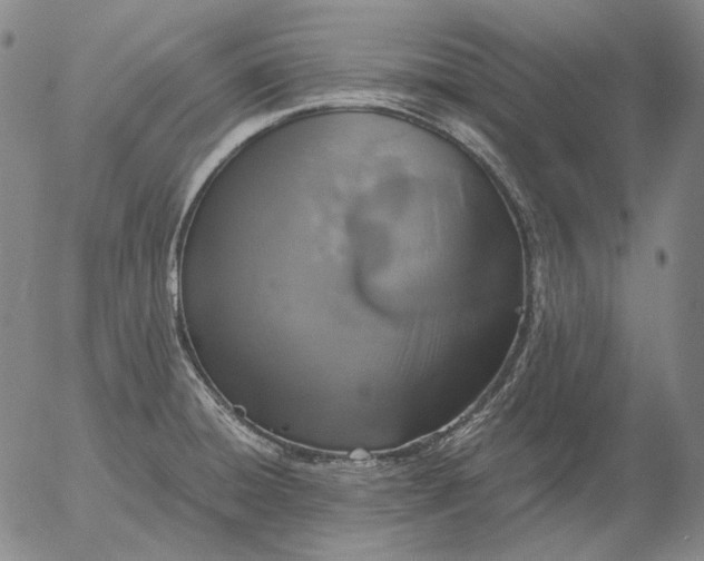 X0000056001428200509021652