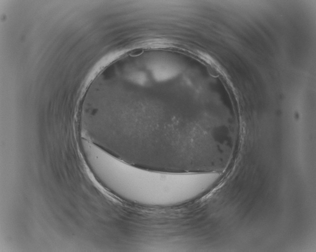 X0000056001429200509021652