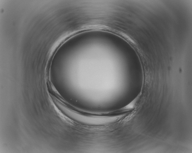 X0000056001430200509021652