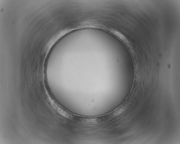 X0000056001431200509021652