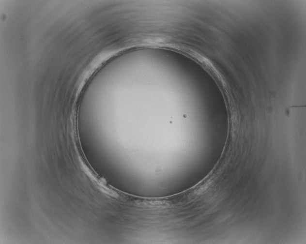 X0000056001432200509021652