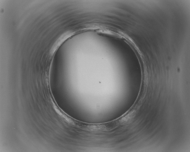 X0000056001433200509021652