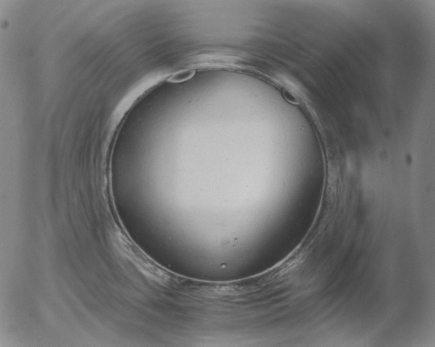 X0000056001435200509021652