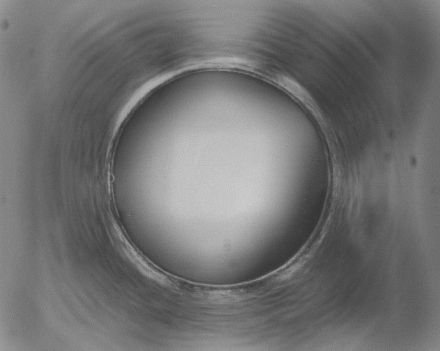 X0000056001436200509021652