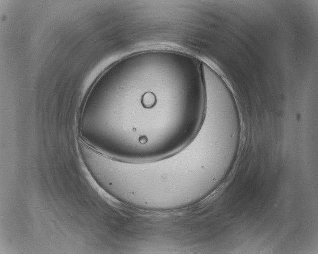 X0000056001438200509021653