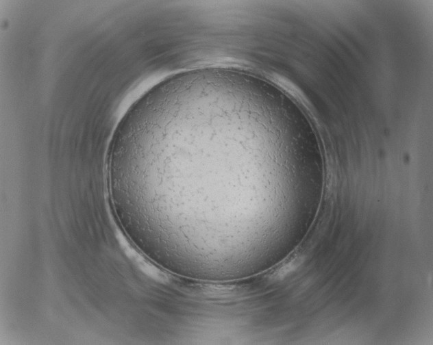 X0000056001439200509021653