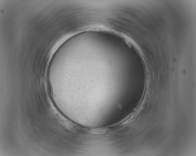 X0000056001440200509021653