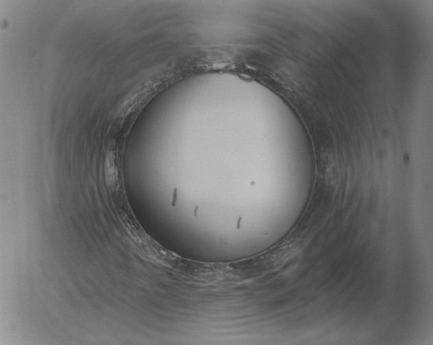 X0000056001442200509021652