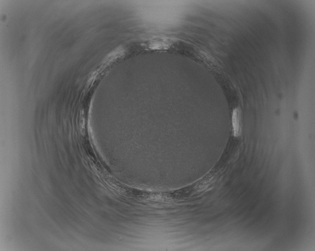 X0000056001443200509021652