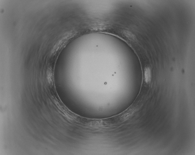 X0000056001444200509021652