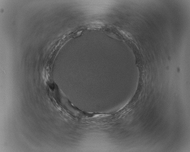 X0000056001445200509021652