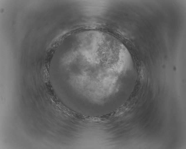 X0000056001446200509021652