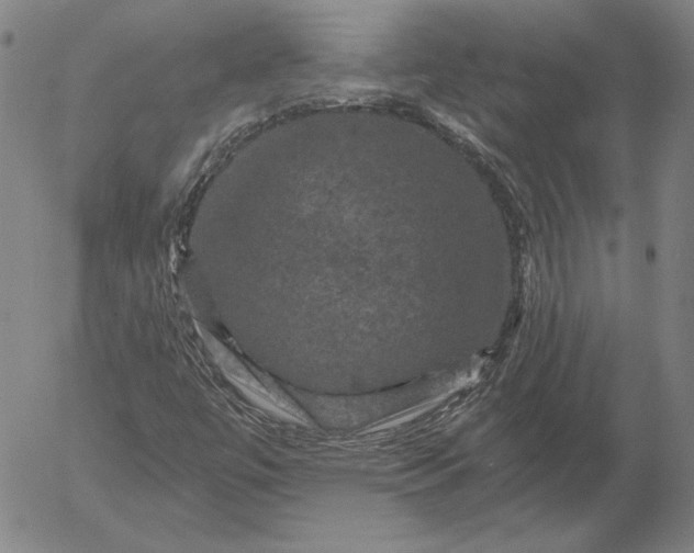 X0000056001447200509021652