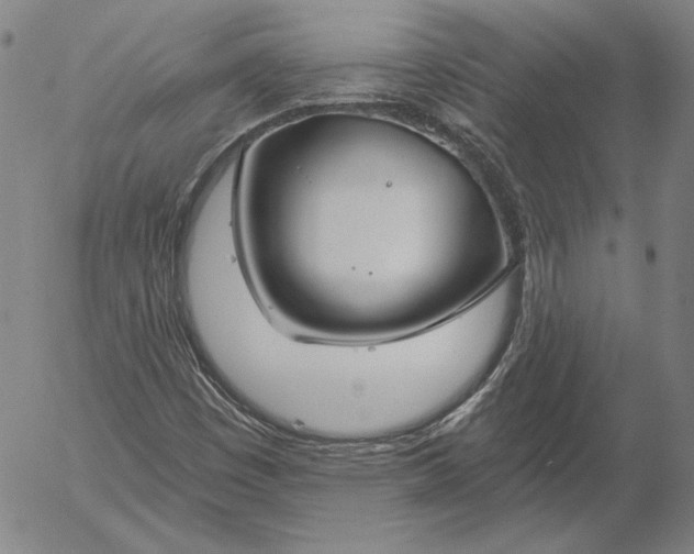 X0000056001449200509021652