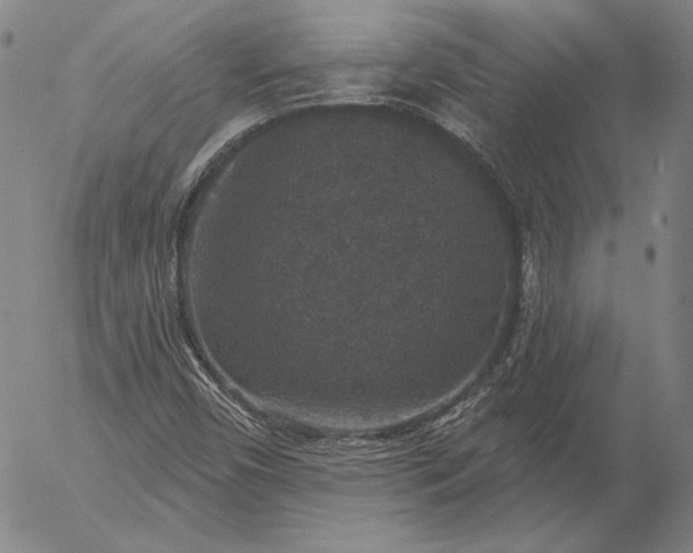 X0000056001450200509021652