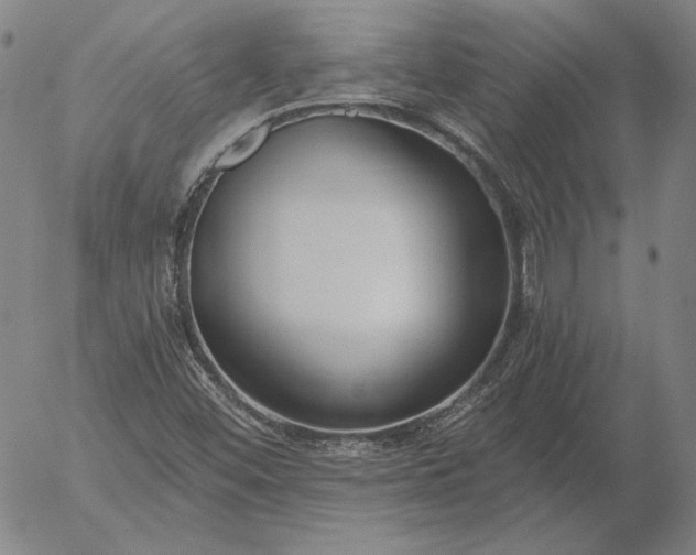 X0000056001452200509021652