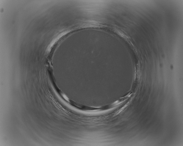 X0000056001453200509021652