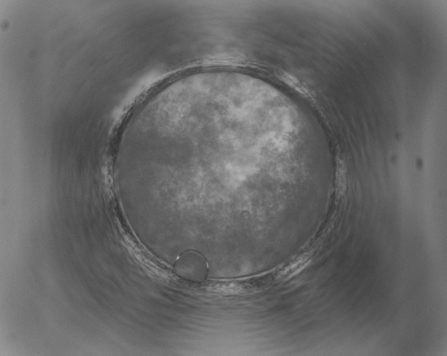 X0000056001454200509021652