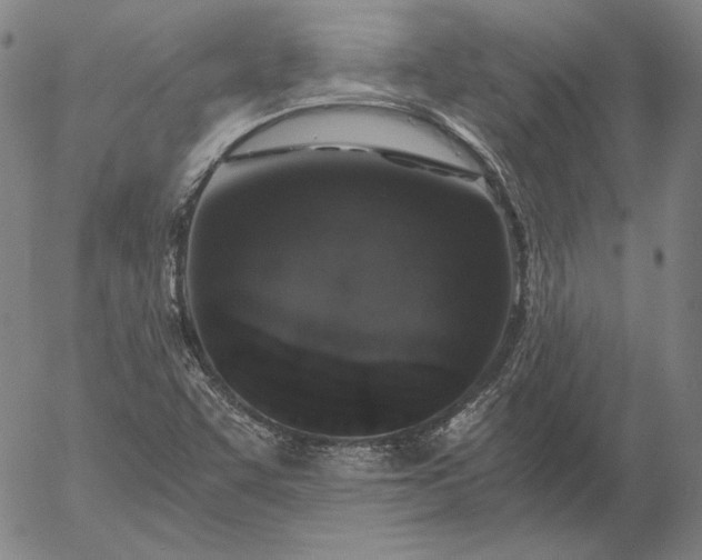 X0000056001455200509021652