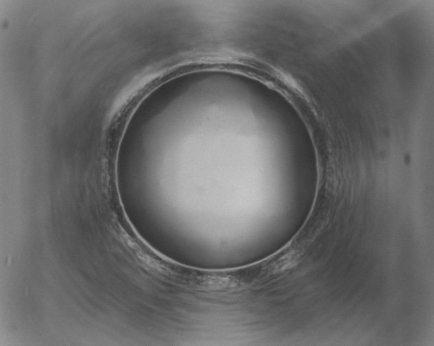 X0000056001456200509021651